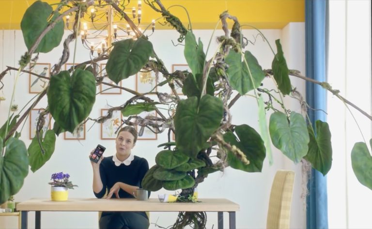 Lifecell – Incredible Discoveries / The Plant