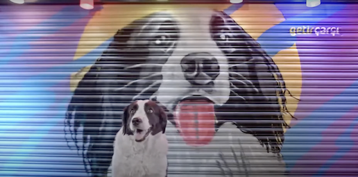 GetirÇarşı – Stars of The Çarşı